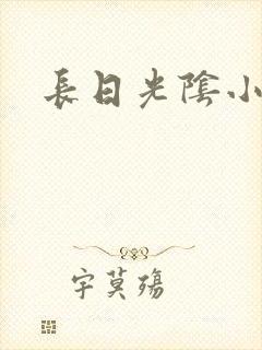 长日光阴小说