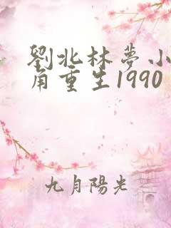 刘北林梦小说主角重生1990