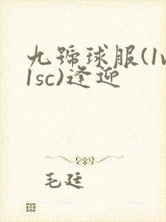 九号球服(1v1sc)逢迎