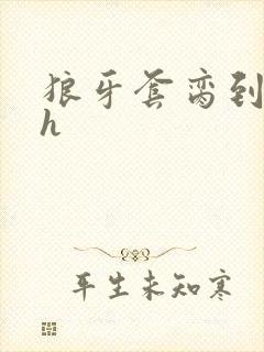 狼牙套脔到她哭h