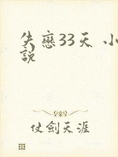 失恋33天 小说