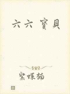 六六 宝贝