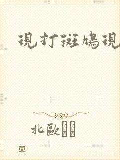 现打斑鸠现钳毛