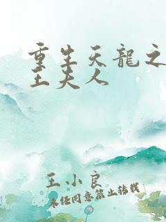 重生天龙之推倒王夫人