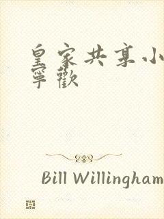 皇家共享小公主宁欢