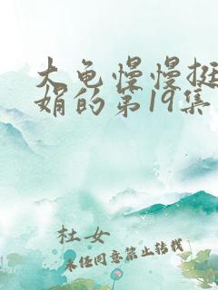 大龟慢慢挺进张娟的第19集