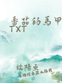 番茄的马甲小说TXT