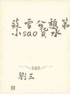 苏雪公憩第一章小sao货水