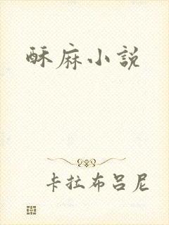 酥麻小说