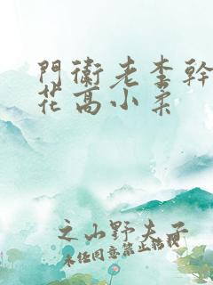 门卫老李干了校花高小柔