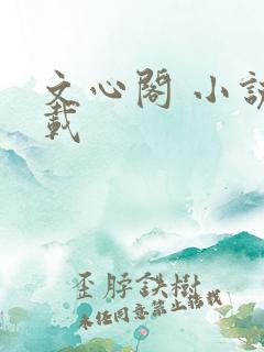 文心阁 小说连载