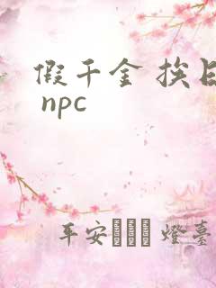 假千金 挨日记 npc