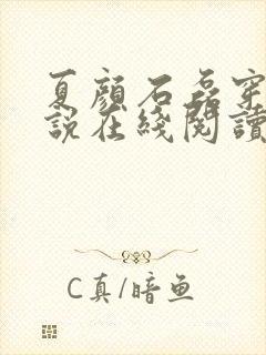 夏颜石磊穿越小说在线阅读