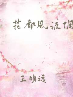 花都风流佣兵王
