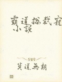 霸道总裁宠上天 小说