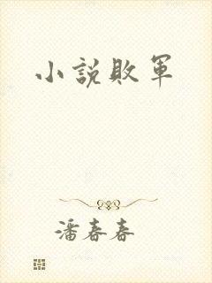 小说败军