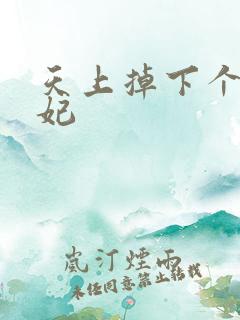 天上掉下个奇王妃