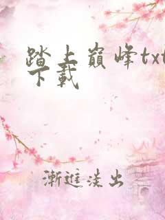 踏上巅峰txt下载