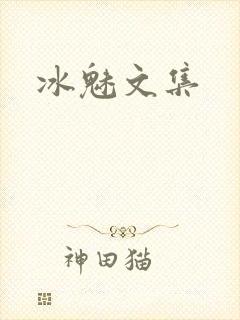 冰魅文集