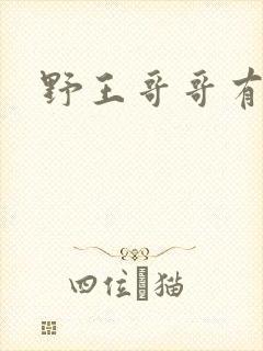 野王哥哥有点甜