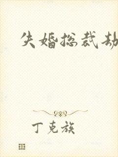 失婚总裁劫前妻