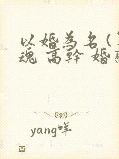 以婚为名 (军魂 高干 婚恋)
