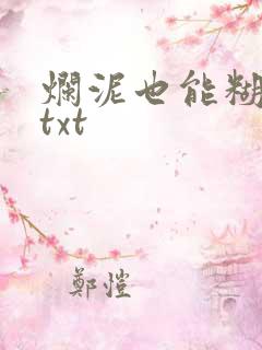 烂泥也能糊上墙txt