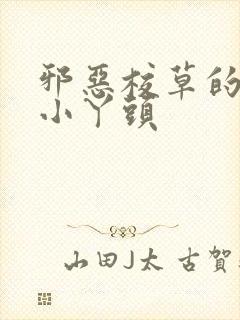 邪恶校草的拽拽小丫头