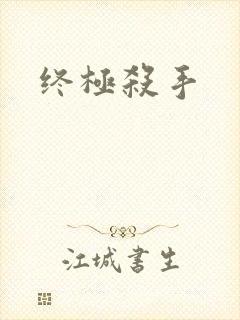 终极杀手