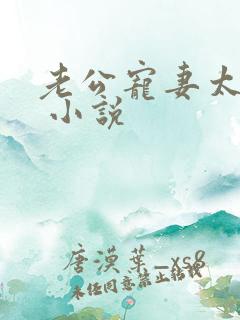 老公宠妻太甜蜜 小说