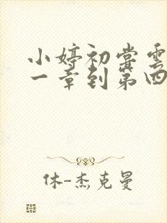 小婷初尝云雨第一章到第四章