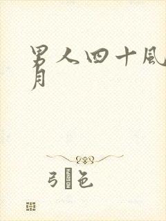 男人四十风花雪月