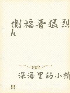 侧福晋猛烈顶弄h