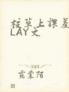 校草上课羞耻PLAY文