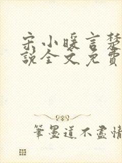 宋小暖言楚行小说全文免费阅读