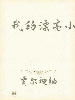 我的漂亮小后妈