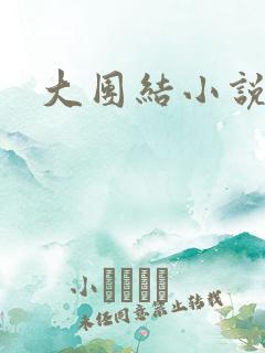 大团结小说阅读