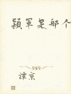 颖军是哪个军阀