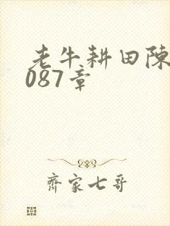 老牛耕田陈雪1087章