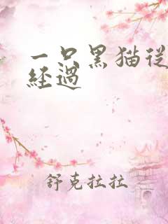 一只黑猫从眼前经过