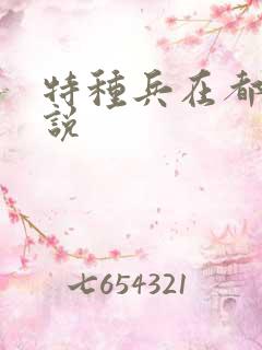 特种兵在都市小说