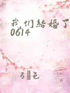 我们结婚了130614