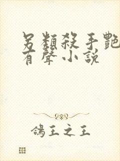 另类杀手艳福星有声小说