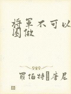 将军不可以在花园做