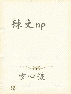 辣文np