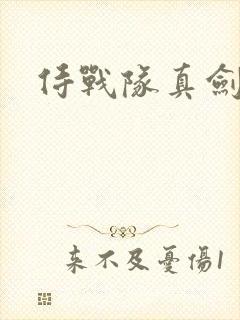 侍战队真剑者2