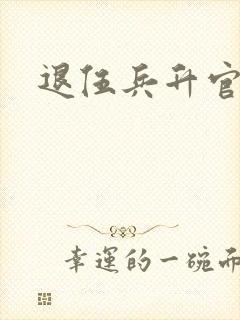退伍兵升官记