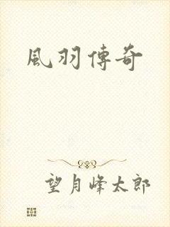 风羽传奇