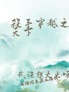 杀手穿越之倾城天下