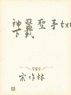 神医圣手txt下载